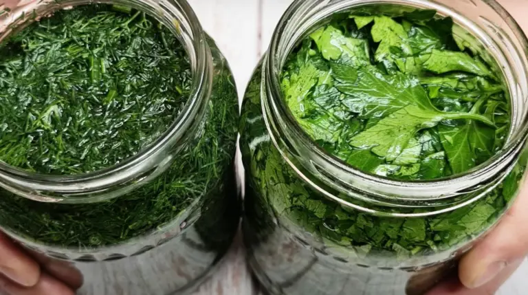 Išsaugome šviežių žolelių skonį ir aromatą. Kaip paruošti krapus ir petražoles būsimam naudojimui