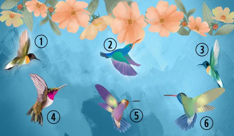Pasirinkite kolibrį, kuris jus labiausiai traukia ir atraskite savo dabartinį požiūrį į gyvenimą