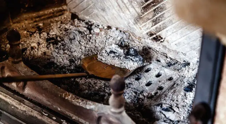 Neišmeskite medienos pelenų: 7 būdai, kaip juos naudoti