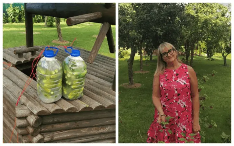 Kaunietė pasidalijo unikaliu būdu, kaip sveikai ir be jokios chemijos raugti agurkus – net po metų jie bus traškūs ir gaivūs