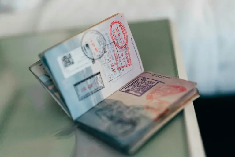 Migracijos departamentas išsisukinėja, kam naujuose piliečių pasuose reikalingi QR kodai