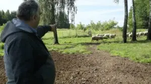 Automatiškai išsaugotas juodraštis Automatiškai išsaugotas juodraštis