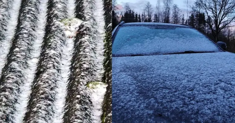 Lietuvoje pakvipo žiema: gyventojai užfiksavo pirmąjį sniegą