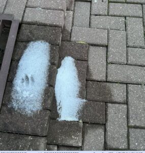 Automatiškai išsaugotas juodraštis