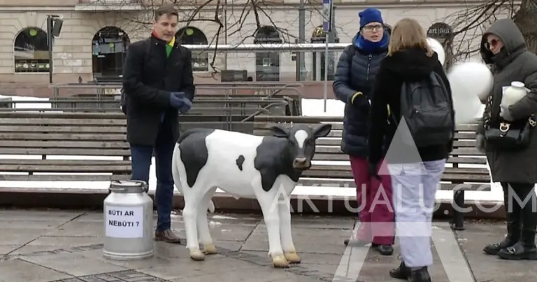Ūkininkai po Vyriausybės langais pastatė plastikinę karvę: „Paliksim Ingridai, gal pradės šerti“