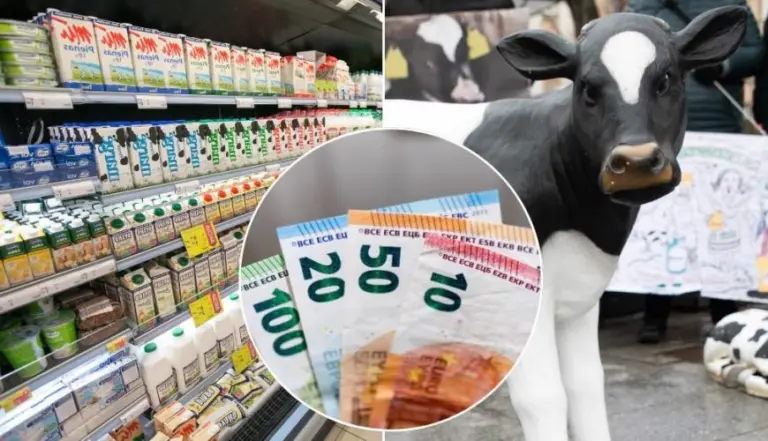 Brangsta mėgiamas lietuvių produktas: ekspertai teiga, kad situacija – tragiška