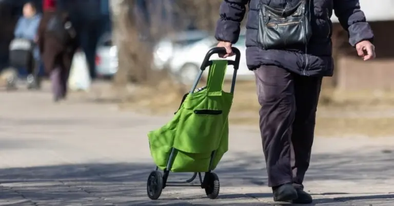 „Sodra“ perveda 40 eurų ir jokio prašymo nereikia: štai kam priklauso pinigai