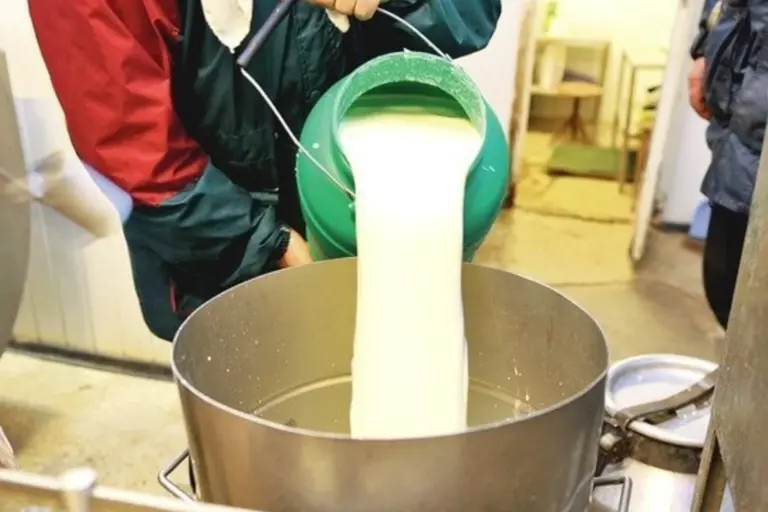 Kaip apgaudinėjami gyventojai Lietuvoje: importinius pieno produktus parduoda kaip lietuviškus