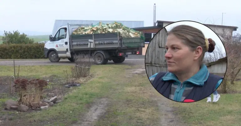5 vaikų mama Audronė iš nuostabos neteko amo: nemokama dovana atsieitų 400 eurų