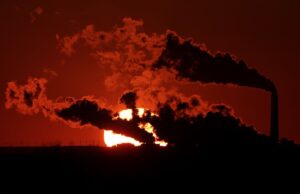 Mokslininkas apie naujas klimato prognozes: jeigu skaičiai teisingi, mes išnyksime