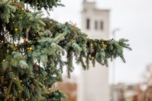 Sinoptikė perspėja: Lietuvą užgrius ciklonai – atslenka audringi orai