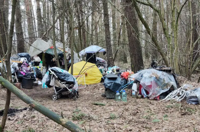 Nustebino tai, ką rado miškelyje Jonavos pakraštyje (Video)