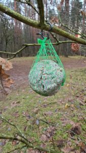 Išvydęs vaizdą miške kaunietis negalėjo patikėti savo akimis: to nebuvo matęs