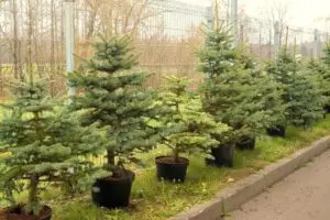 Už 1 daikto išmetimą į konteinerį Lietuvoje gresia 600 eurų bauda: žino ne visi Už 1 daikto išmetimą į konteinerį Lietuvoje gresia 600 eurų bauda: žino ne visi