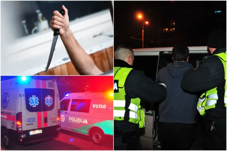 Kraują stingdanti žmogžudystė: sūnus motinai plaktuku, žarstekliu ir net keliais peiliais smogė daugiau nei 100 kartų – Vaizdai pašiurpino kriminalistus