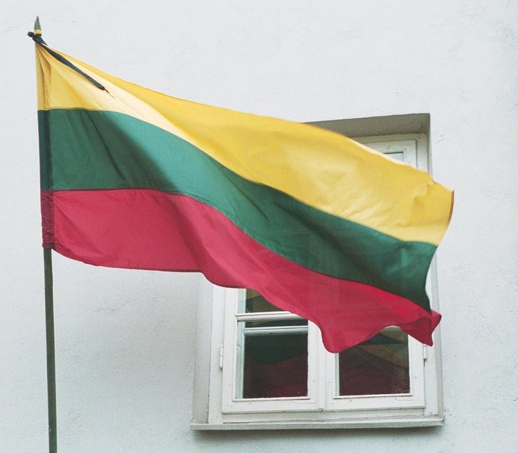 Lietuvos vėliava (nuotr. Fotodiena.lt)