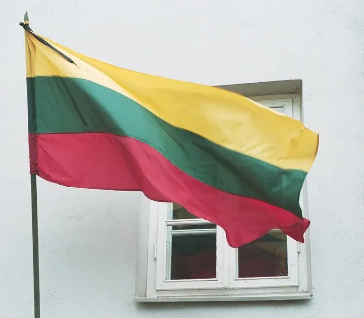 Lietuvos vėliava (nuotr. Fotodiena.lt)