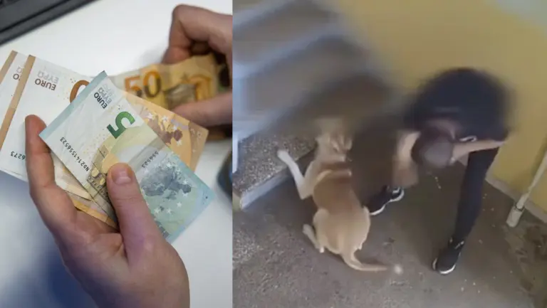 Svetimą šunį laiptinėje žiauriai talžęs mušeika – nubaustas: teks paploninti piniginę (Video)