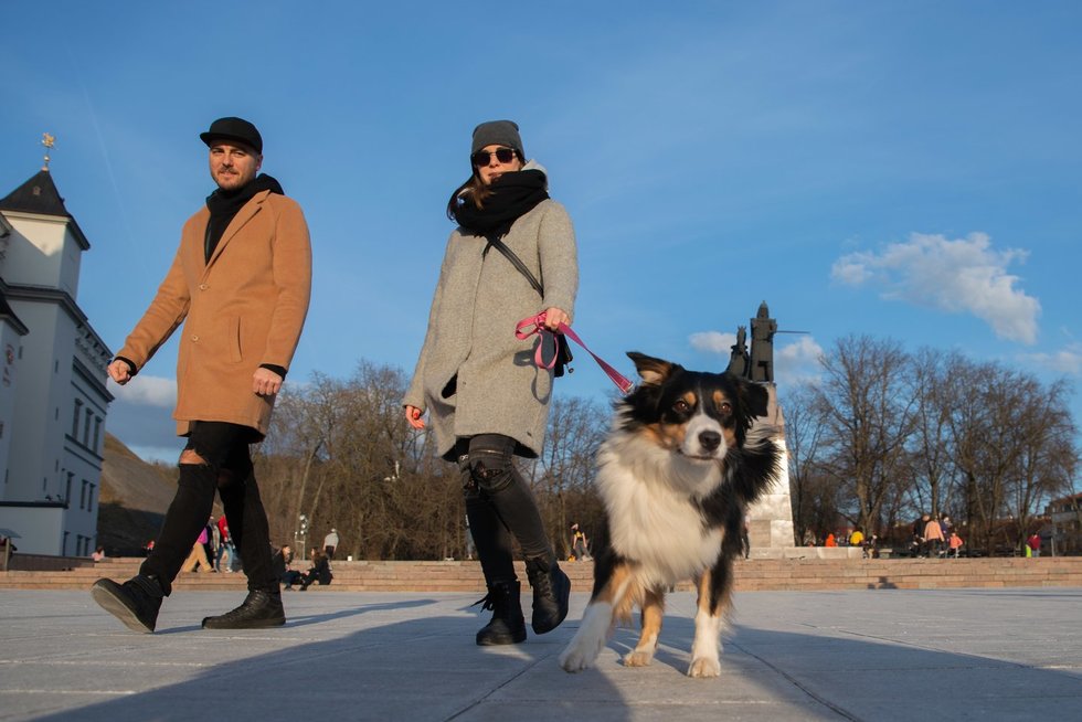 Vilnius pavasarį (nuotr. Fotodiena/Justino Auškelio)