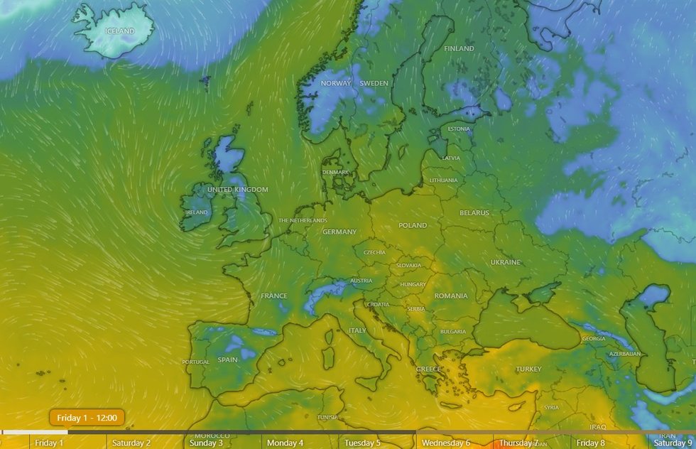 Temperatūra kovo 1 d. / nuotr. Windy.com