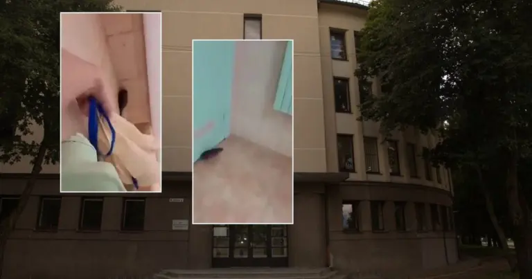 Nebegali tylėti: bendrabutį užpuolę graužikai kelią siaubą – parodė visiems