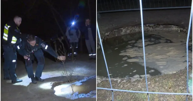 Vedžiodamas šunį vyras prasmego į žemę – reginys nustebino ir tarnybas