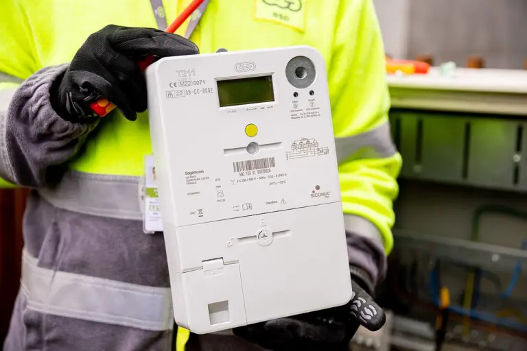Ar tikrai išmanieji elektros skaitikliai apgaudinėja?