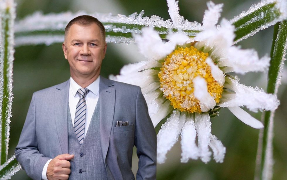 Naglis Šulija (tv3.lt fotomontažas)