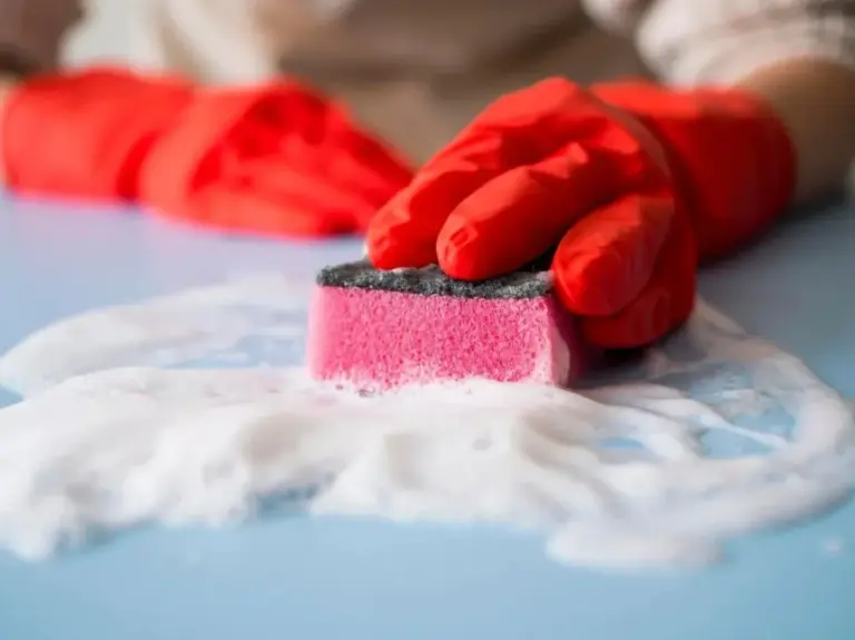 Štai kodėl indų plovimo kempinėlės būna įvairių spalvų: sužinojau tai tik sulaukusi 50 metų ir esu įsitikinusi, kad 99 % žmonių to taip pat nežinojo