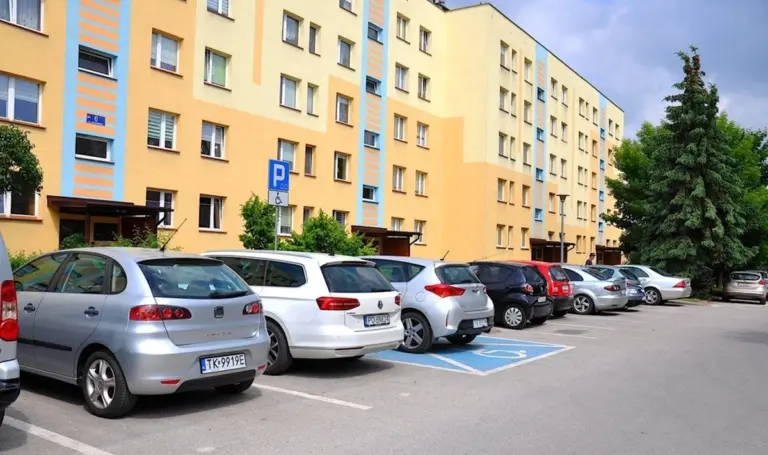 Įspėjimas automobilių savininkams: už tokį poelgį gali būti skirta 15 000 eurų bauda