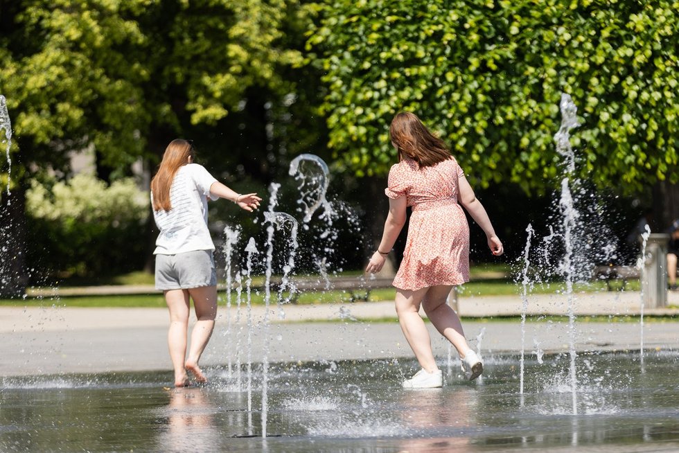 Vasara Vilniuje BNS Foto