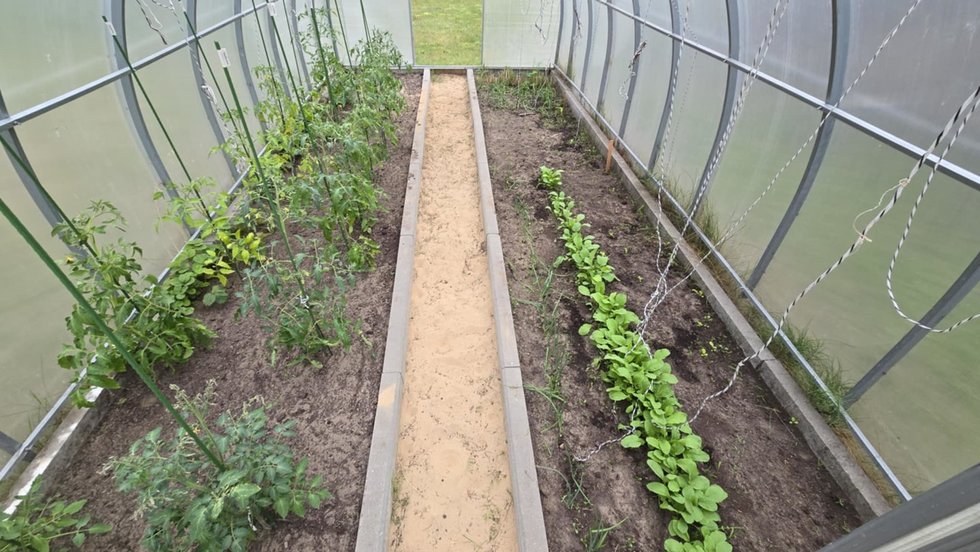 Mantas Vygantas įsileido į savo sodą Mantas Vygantas įsileido į savo sodą