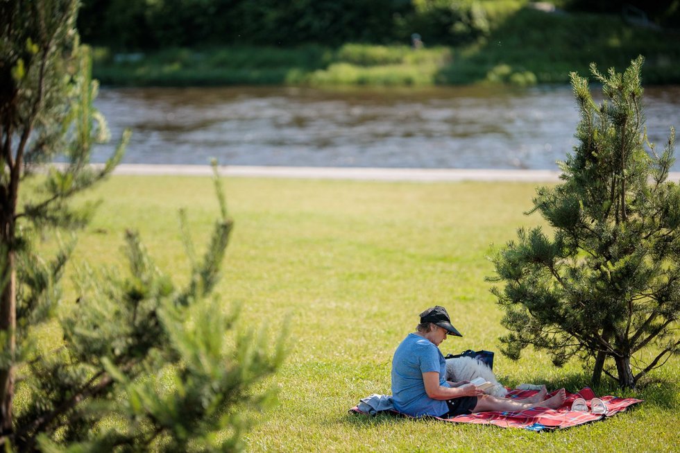 Šalpos negalios pensija, išmokos, kompensacija (ELTA / Josvydas Elinskas) Šalpos negalios pensija, išmokos, kompensacija (ELTA / Josvydas Elinskas)