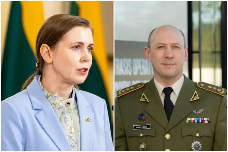 Skandalas Krašto apsaugos ministerijoje: buvęs žvalgybos vadovas kaltina Dovilę Šakalienę