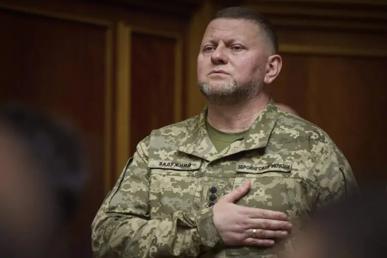 V. Zalužnas slapta ruošiasi kandidatuoti į Ukrainos prezidentus
