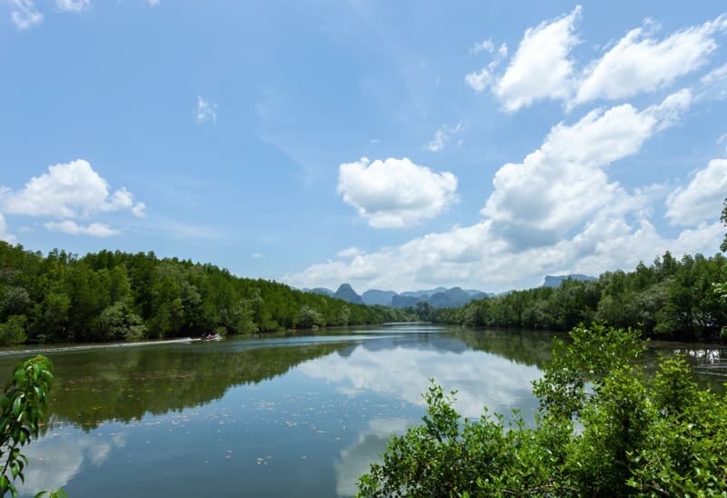 ekrano nuotr