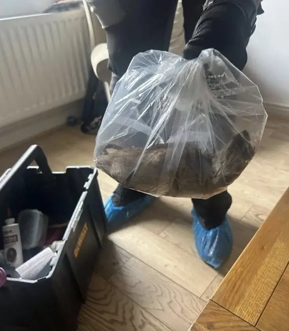 Žiurkė / Facebook nuotr. Žiurkė / Facebook nuotr.