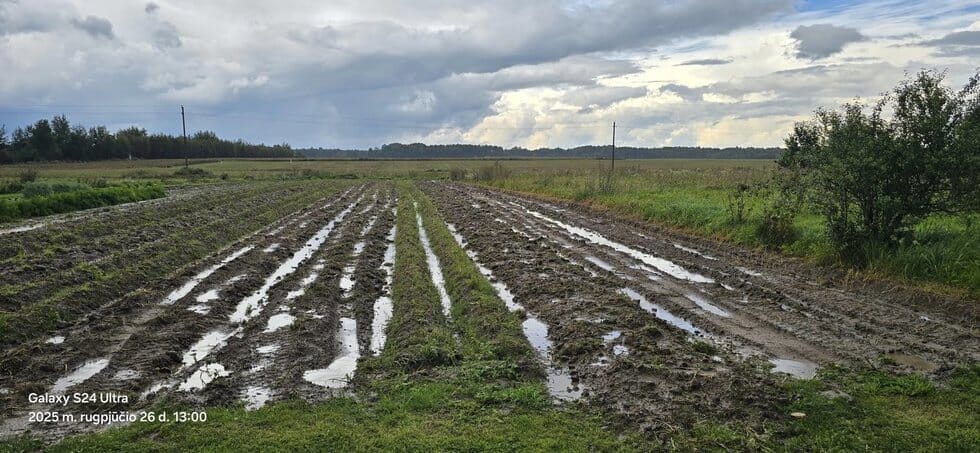 Krituliai Anykščių r. (nuotr. socialinių tinklų) Krituliai Anykščių r. (nuotr. socialinių tinklų)