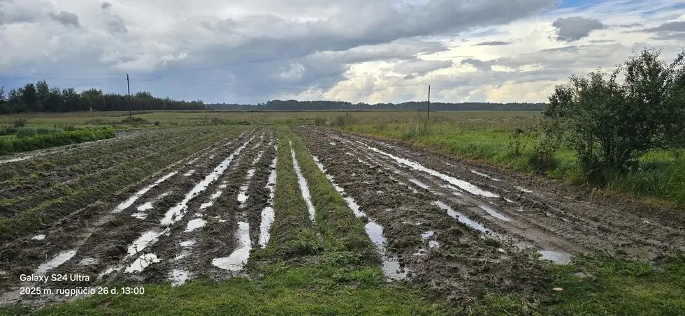 Krituliai Anykščių r. (nuotr. socialinių tinklų) Krituliai Anykščių r. (nuotr. socialinių tinklų)