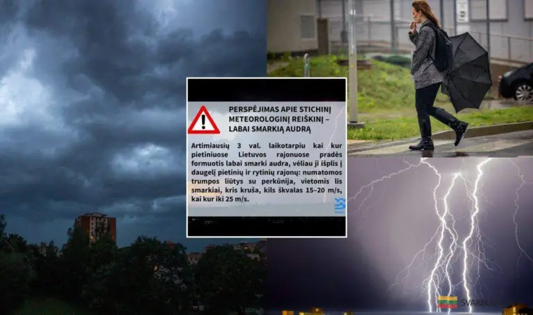 Lietuvos elektros tinklai žlugs: artėja audra, kurios niekas nesuvaldys!