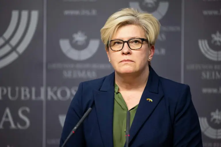 I. Šimonytė: nelabai suprantu, kas formuoja Vyriausybę