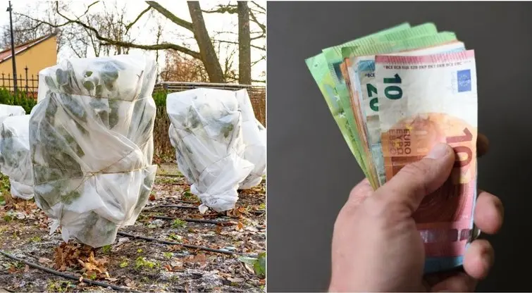 Už 1 veiksmą savo sode – bauda iki 300 eurų: nesakykite, jog neįspėjo
