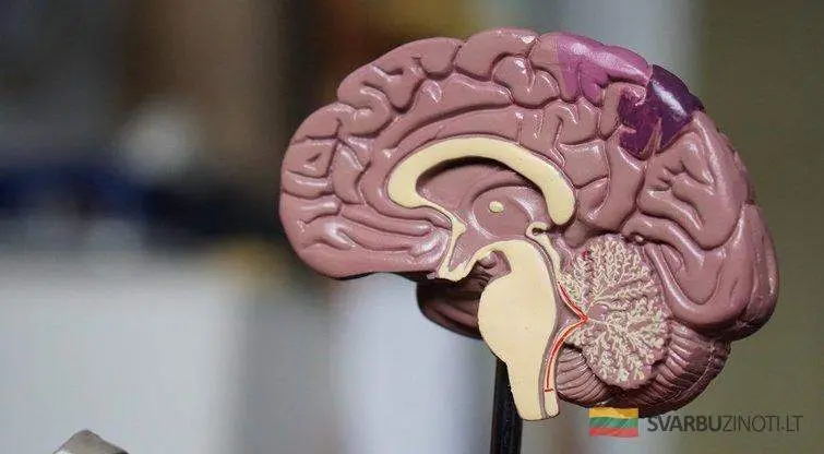 7 frazės išduoda žemą intelekto lygį: pasitikrinkite, ar jų nesakote