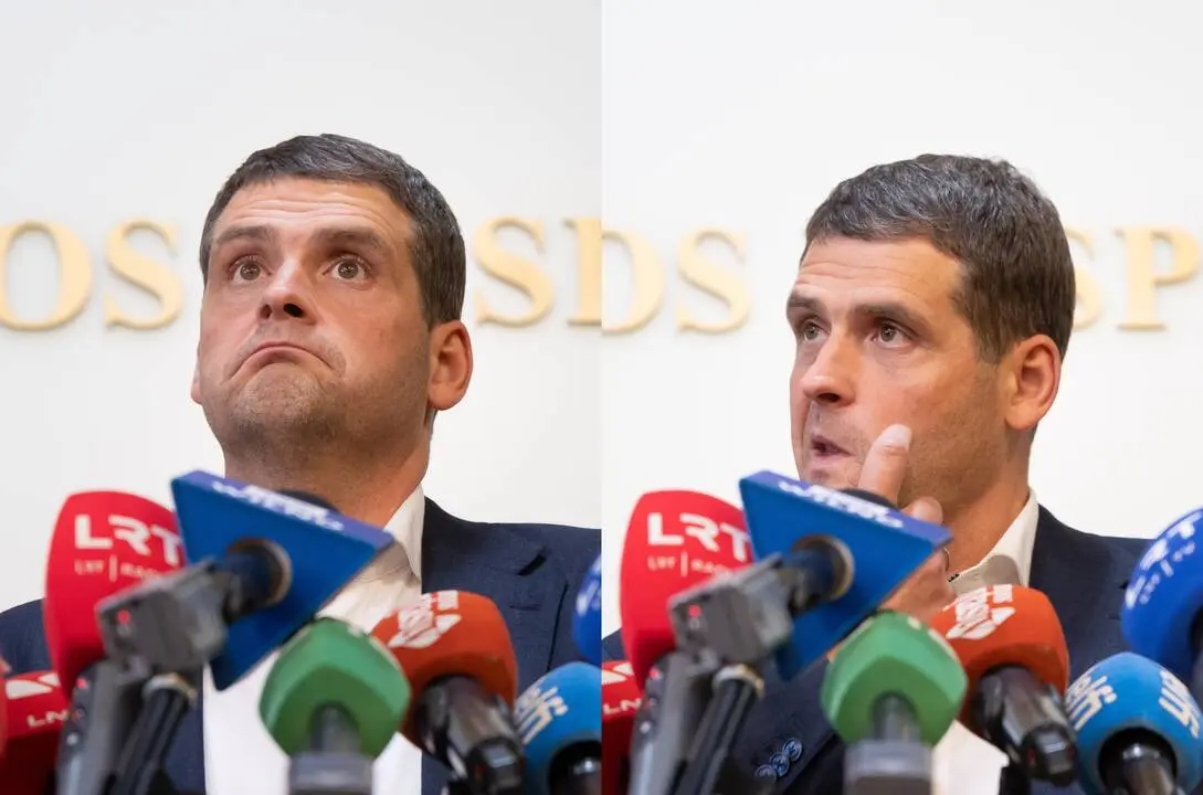 Remigijus Žemaitaitis: kandidatas į kultūros ministrus susijęs giminystės ryšiai