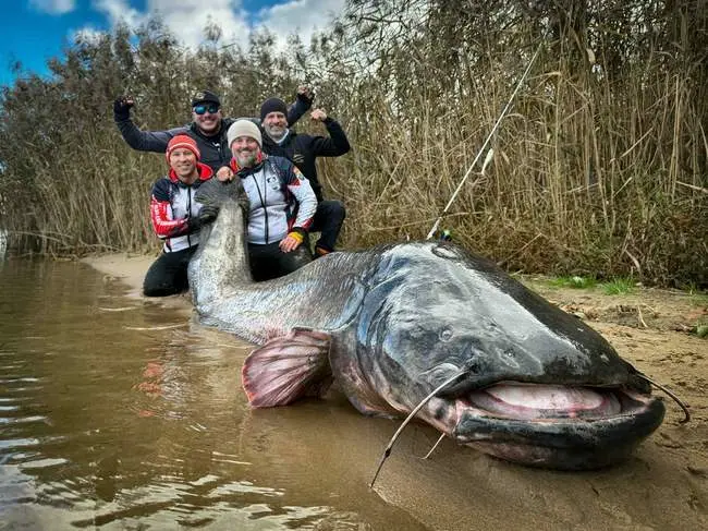 Naujas pasaulio rekordas! Lenkai iš vandens ištraukė tikrą milžiną (Foto)