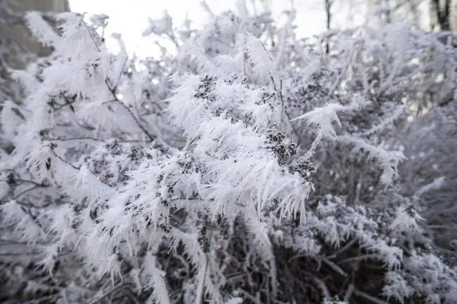 Ši žiema bus kitokia: meteorologai perspėja Europą