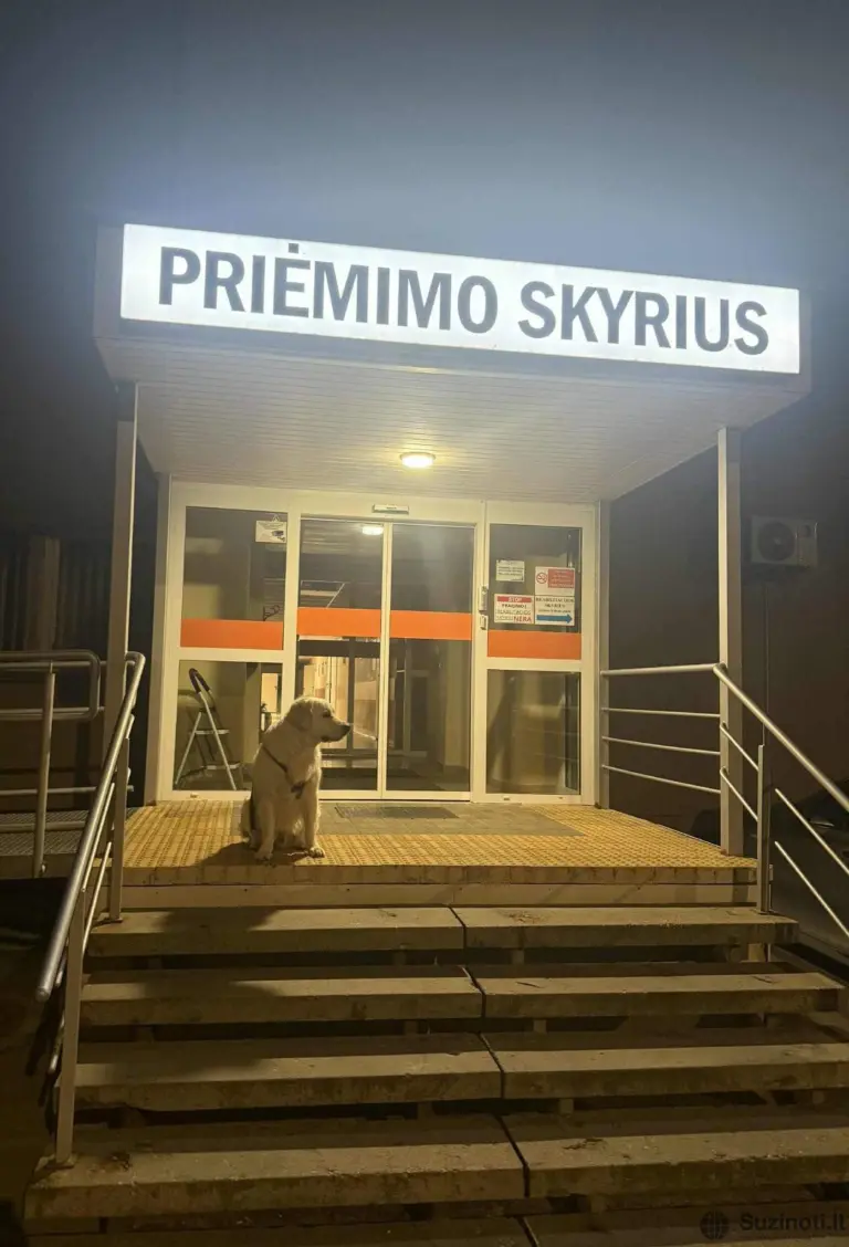 Masiškai plinta nuotrauka iš Lietuvos ligoninės: vaizdas paliečia net abejingiausią širdį