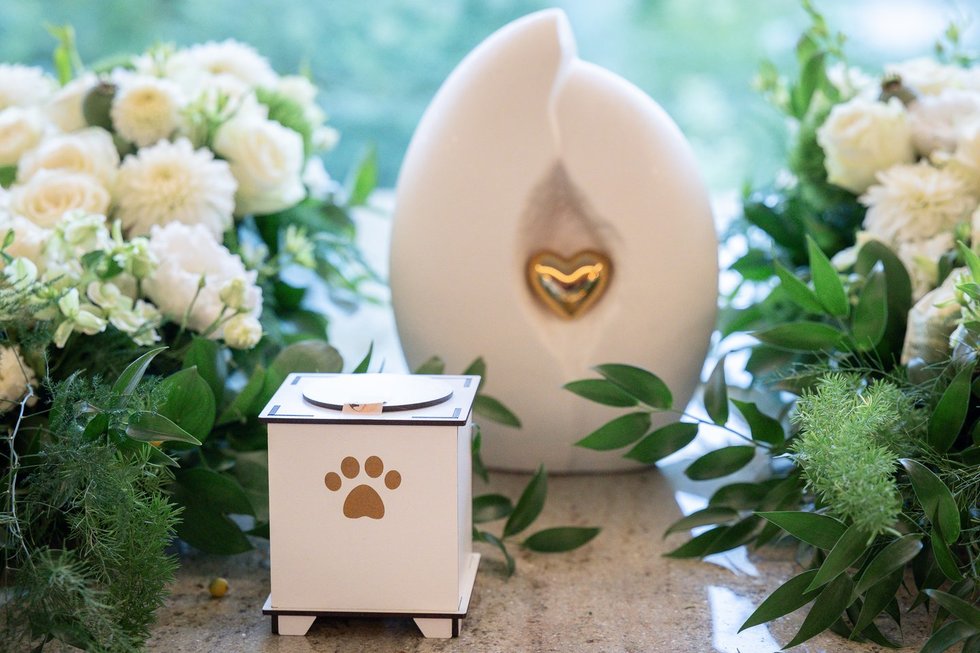 Vido šunelio urna (nuotr. Regimantas Zakšenskas) Vido šunelio urna (nuotr. Regimantas Zakšenskas)