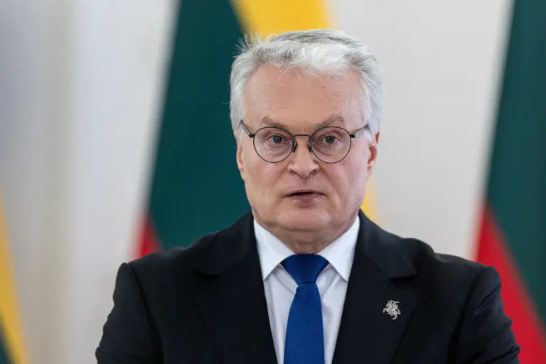 Prezidentas kirto Žemaitaičiui: „Liežuviu ar feisbuko postais Lietuvos neapginsi“