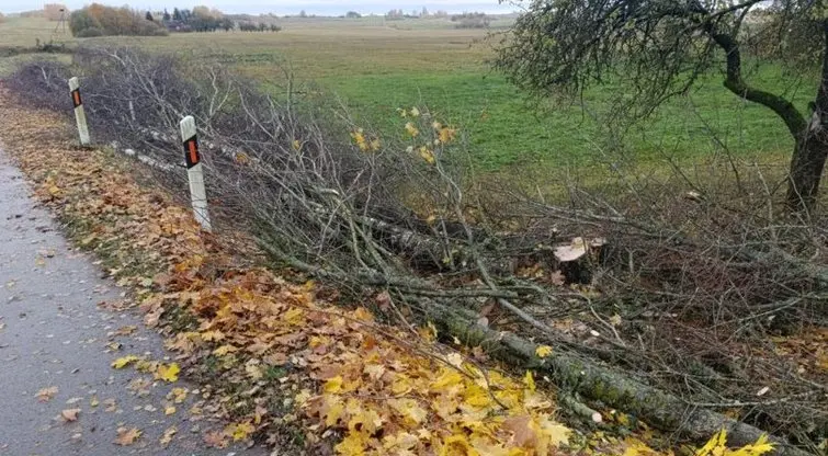 Kaunietis Julius teigia išvydęs šokiruojantį vaizdą prie sodybos – „Via Lietuva“ siunčia žinią visiems gyventojams